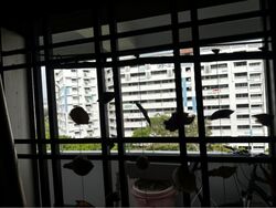 Blk 406 Woodlands Street 41 (Woodlands), HDB 4 Rooms #608091441